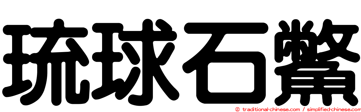 琉球石鱉