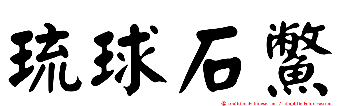 琉球石鱉