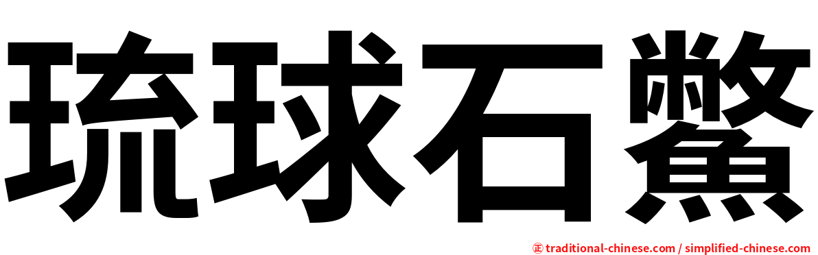 琉球石鱉