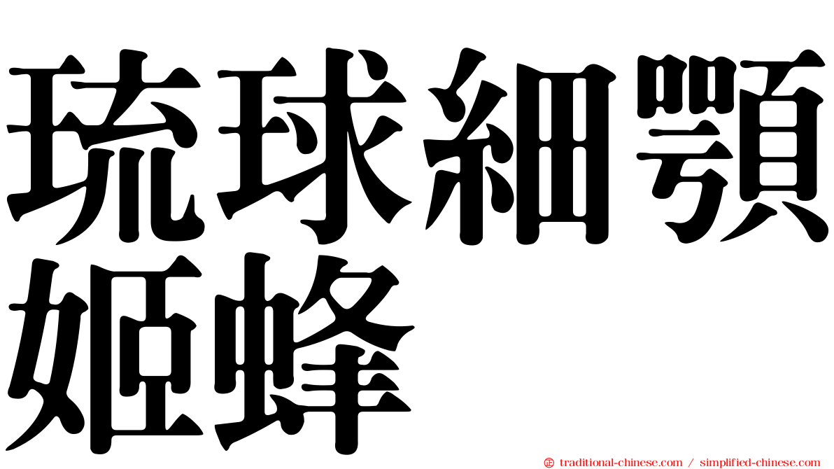 琉球細顎姬蜂