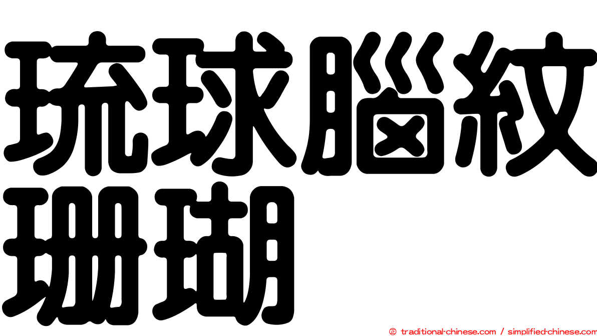 琉球腦紋珊瑚