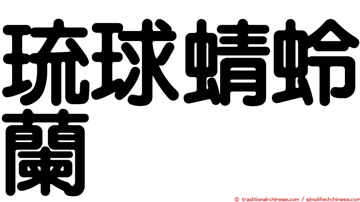 琉球蜻蛉蘭