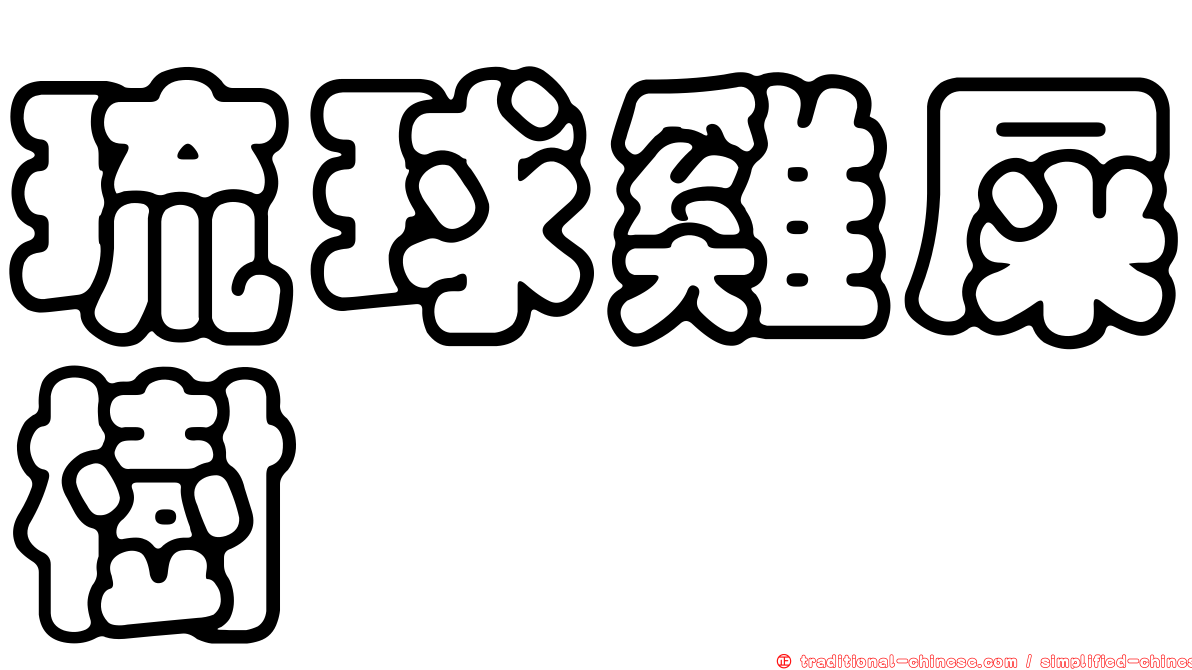 琉球雞屎樹
