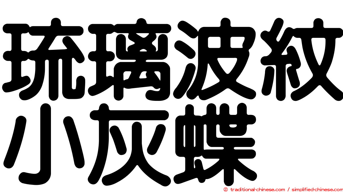琉璃波紋小灰蝶