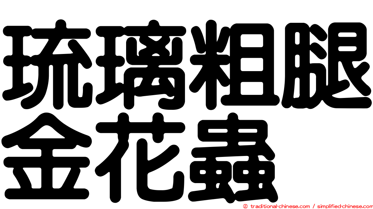 琉璃粗腿金花蟲