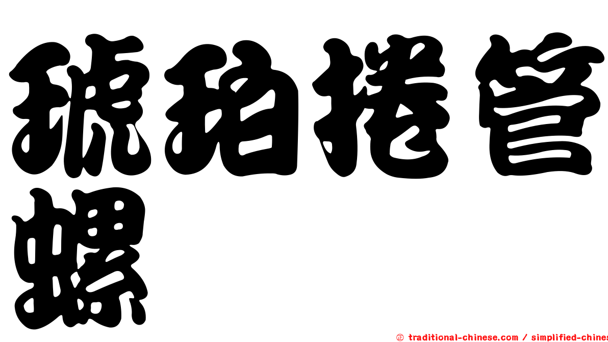 琥珀捲管螺