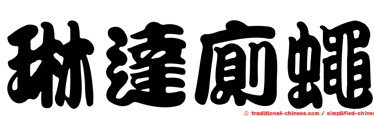 琳達廁蠅