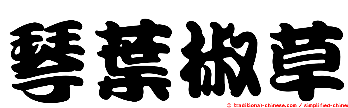 琴葉椒草