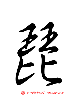 琵