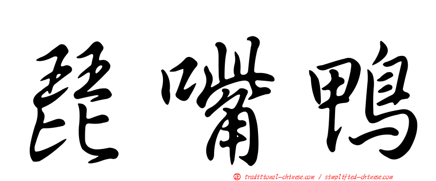 琵嘴鴨