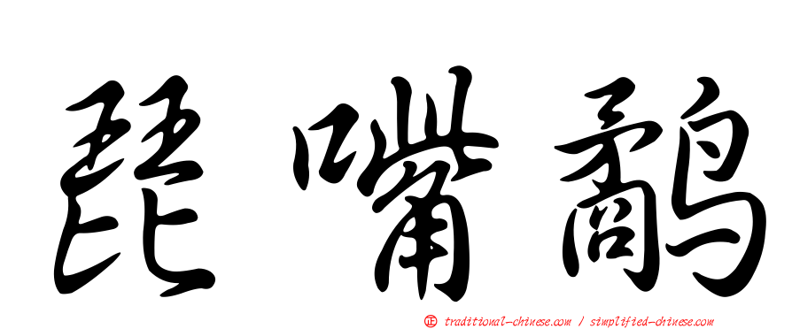 琵嘴鷸