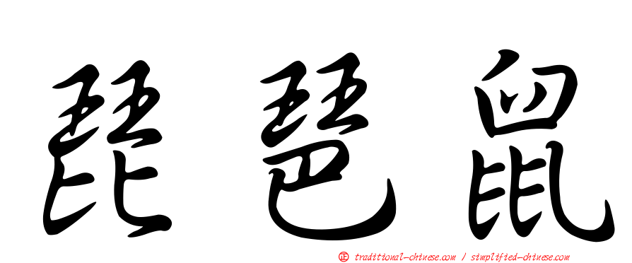 琵琶鼠