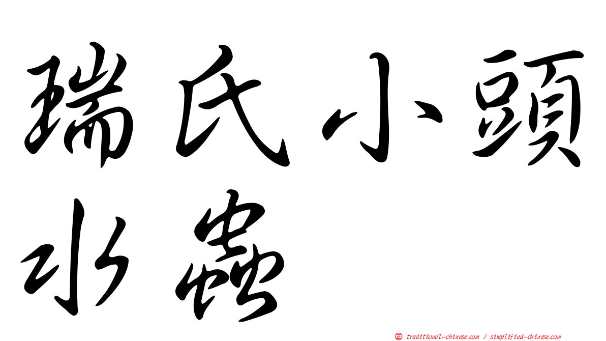 瑞氏小頭水蟲