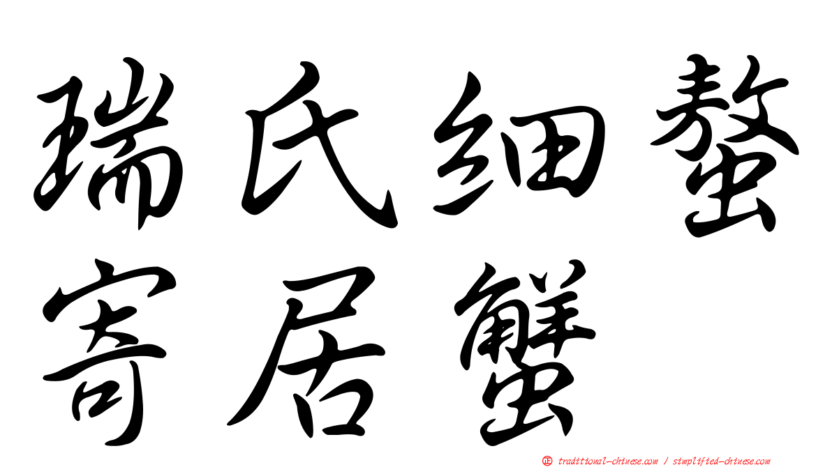 瑞氏細螯寄居蟹