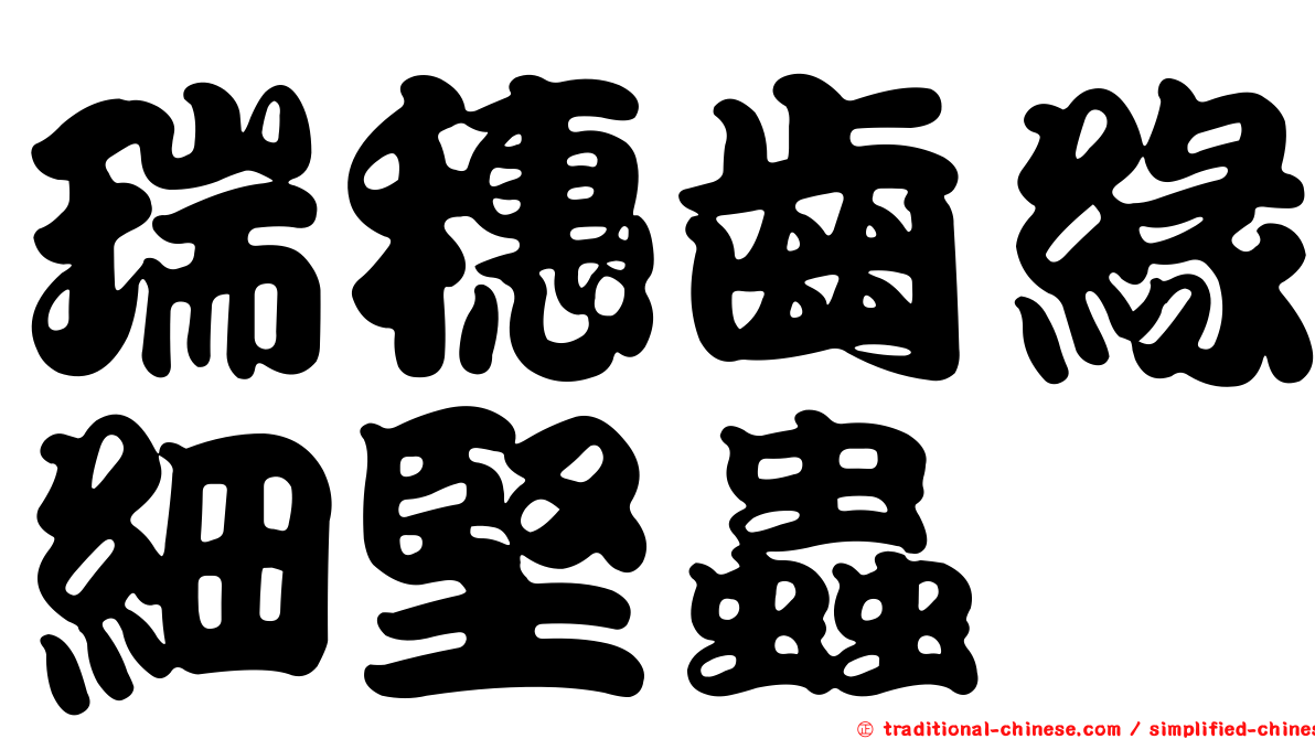 瑞穗齒緣細堅蟲