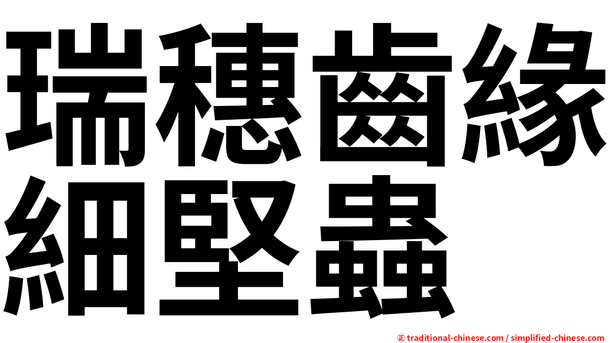 瑞穗齒緣細堅蟲