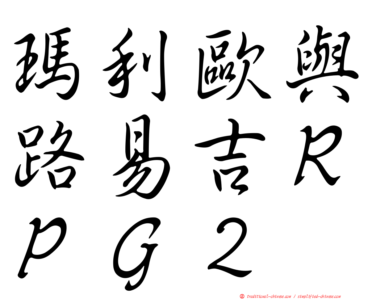 瑪利歐與路易吉ＲＰＧ２