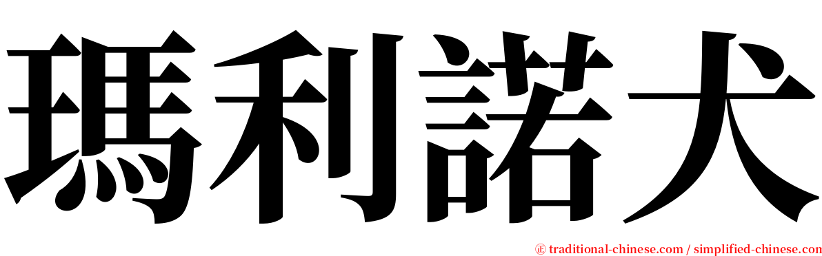 瑪利諾犬 serif font