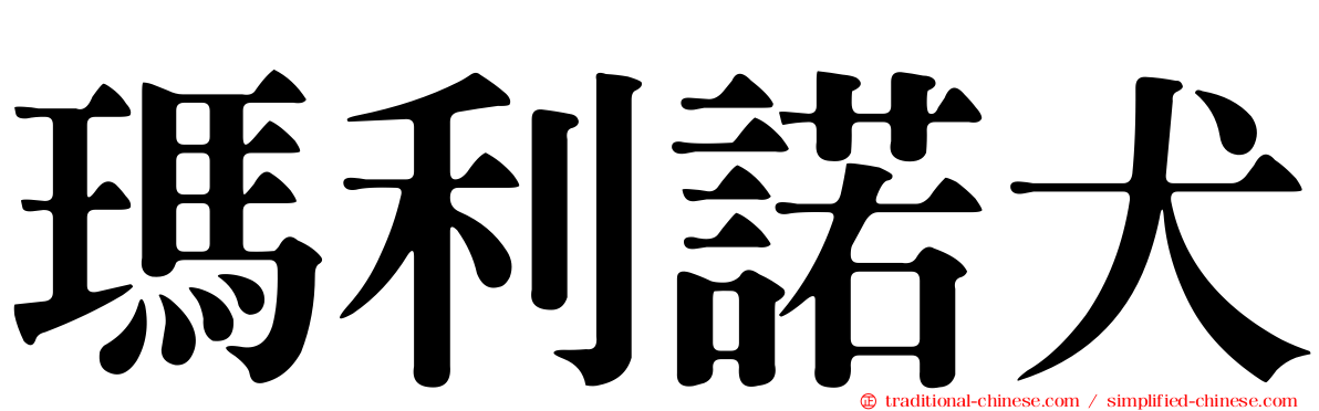 瑪利諾犬
