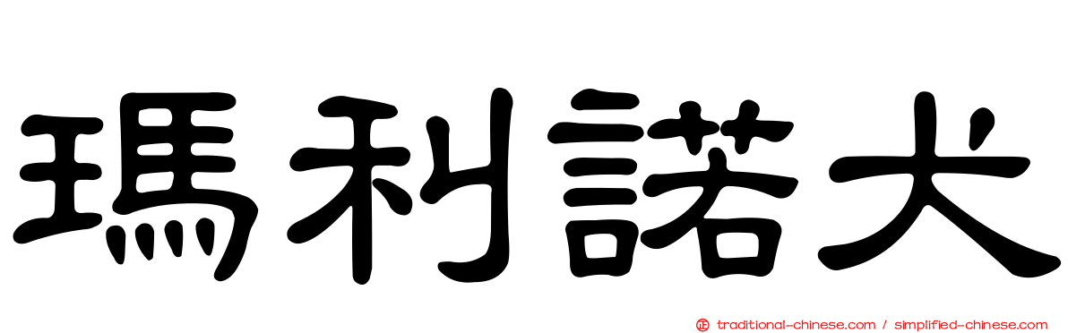 瑪利諾犬