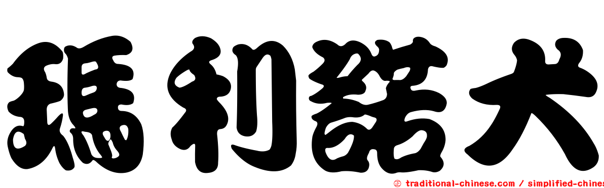瑪利諾犬