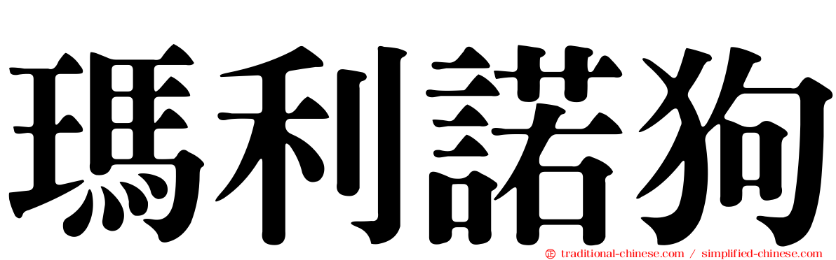 瑪利諾狗
