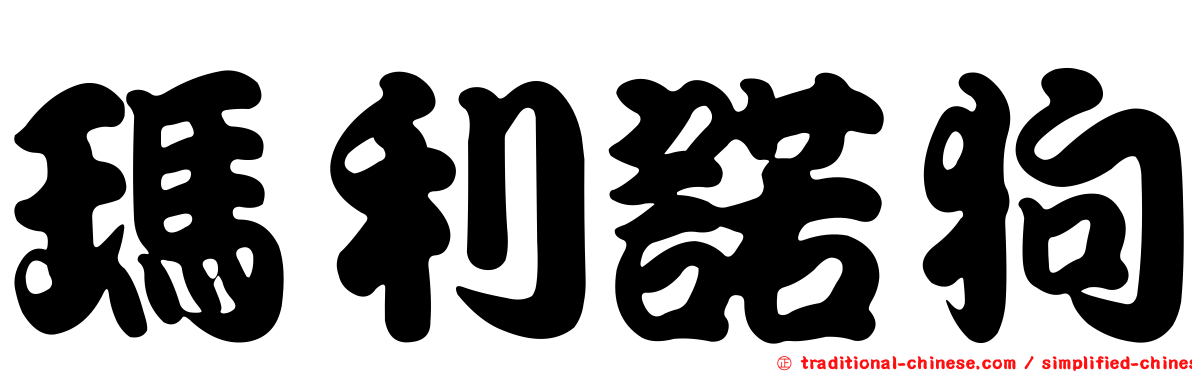 瑪利諾狗