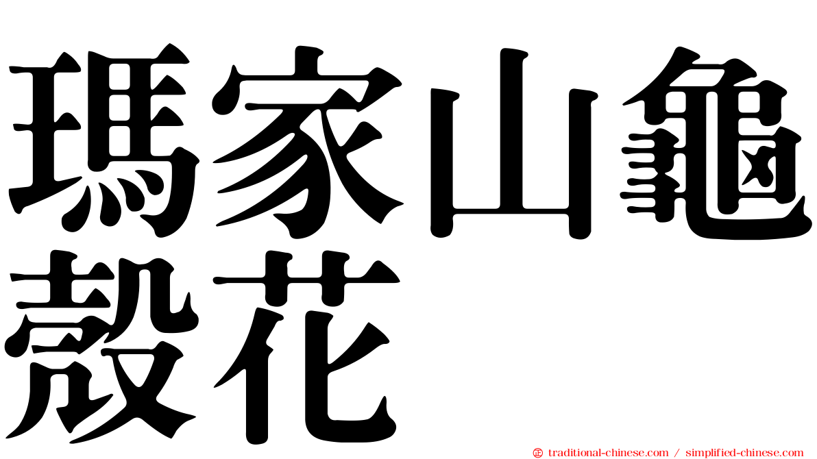 瑪家山龜殼花