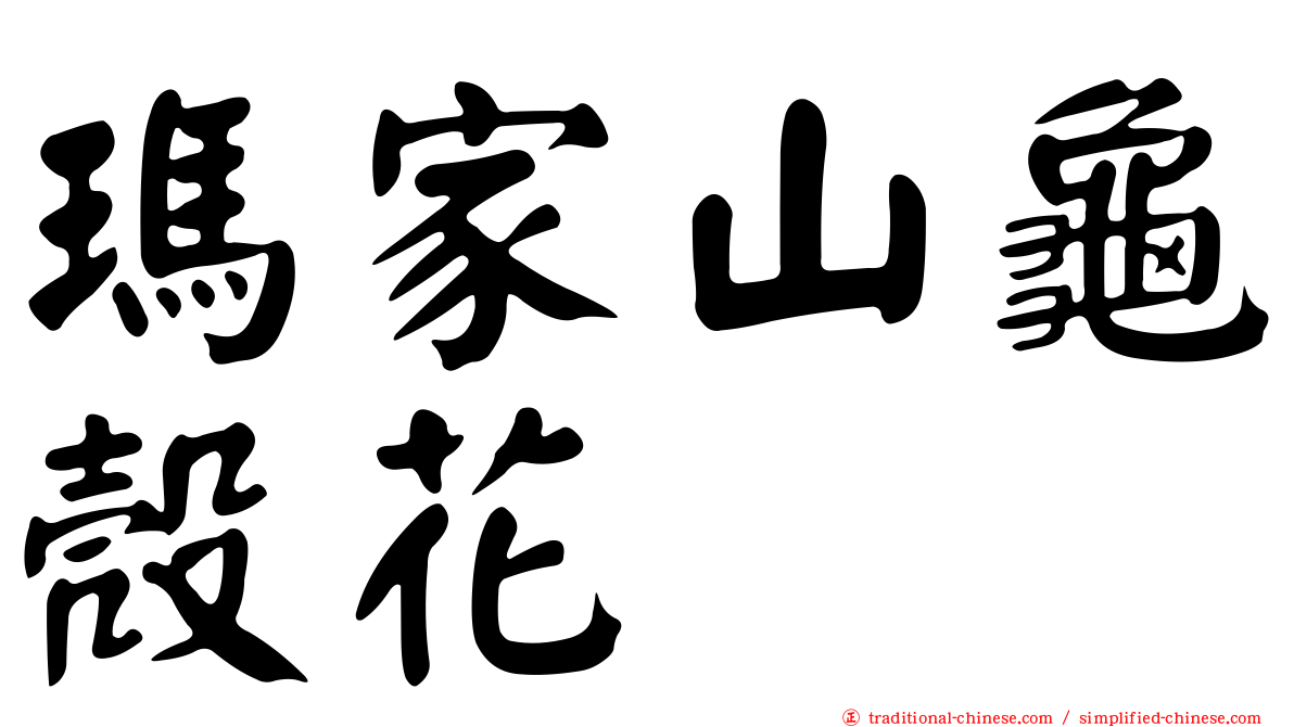 瑪家山龜殼花