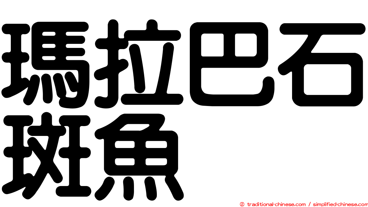 瑪拉巴石斑魚
