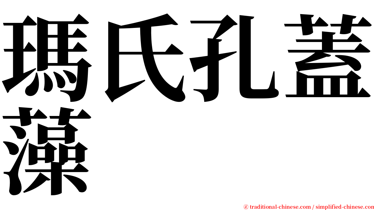 瑪氏孔蓋藻 serif font