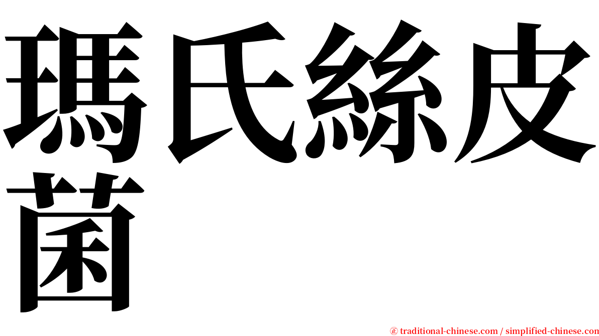 瑪氏絲皮菌 serif font