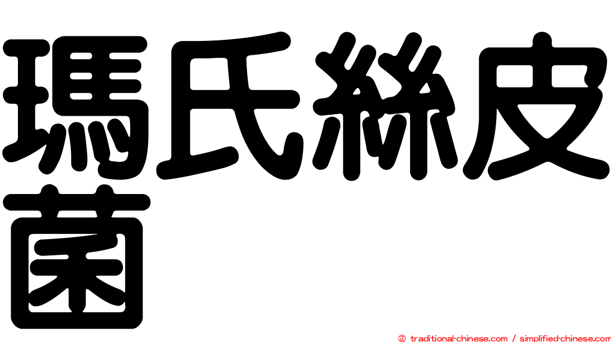 瑪氏絲皮菌