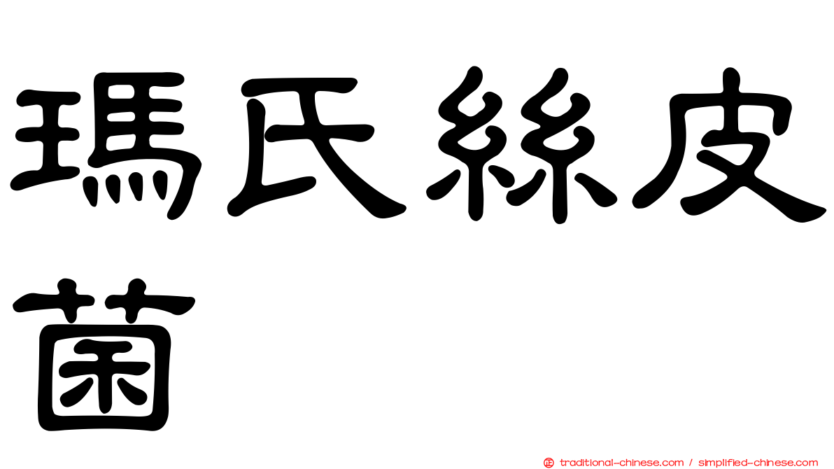 瑪氏絲皮菌