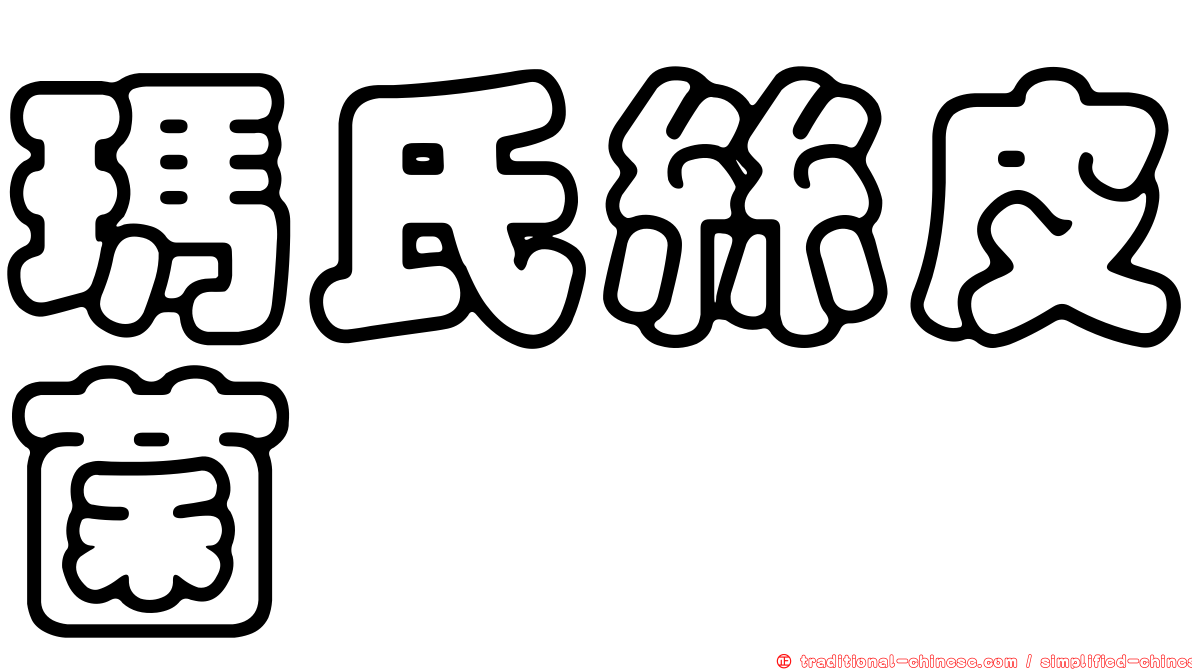 瑪氏絲皮菌
