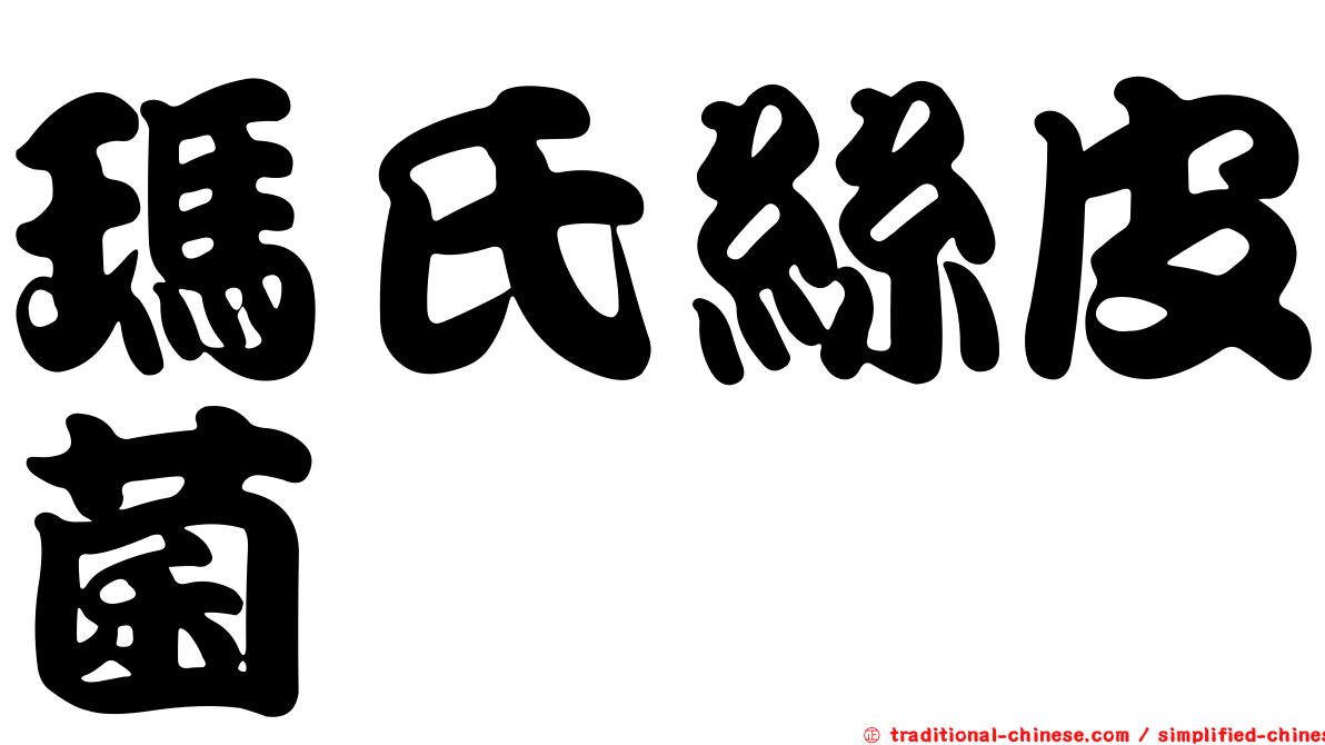 瑪氏絲皮菌