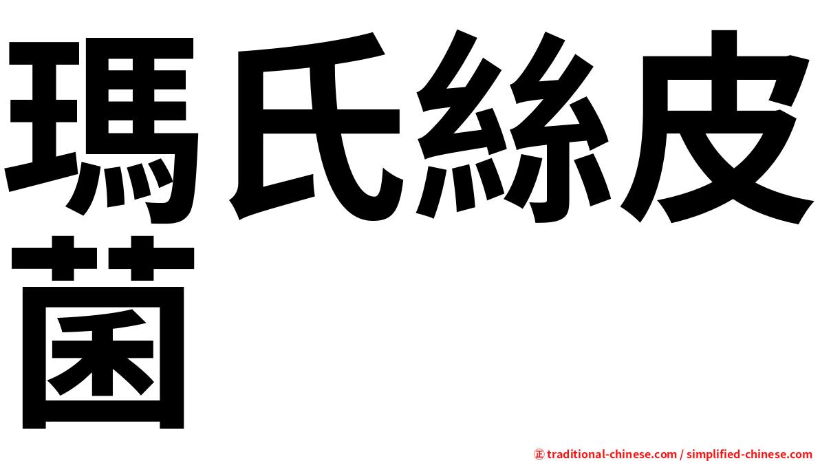 瑪氏絲皮菌