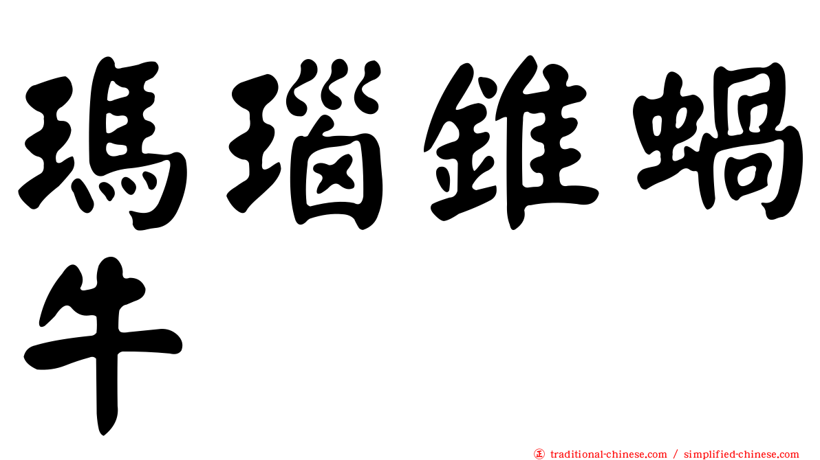 瑪瑙錐蝸牛