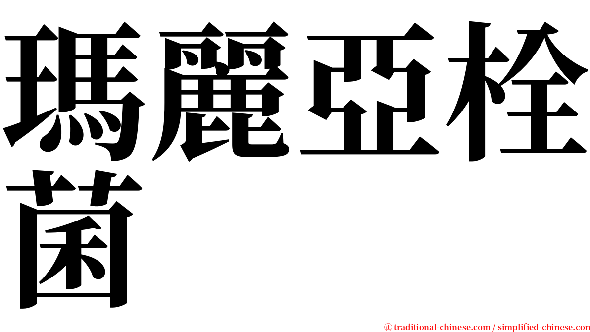 瑪麗亞栓菌 serif font
