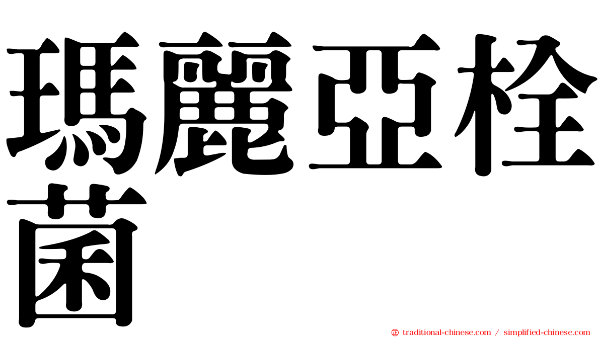 瑪麗亞栓菌