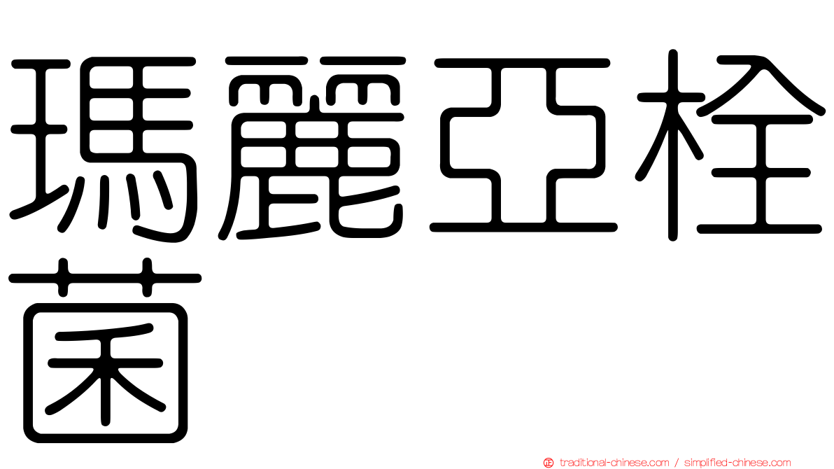 瑪麗亞栓菌