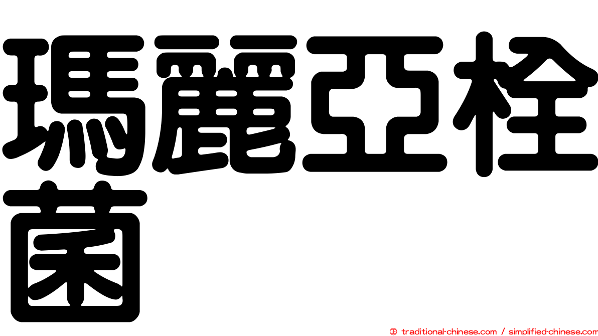 瑪麗亞栓菌