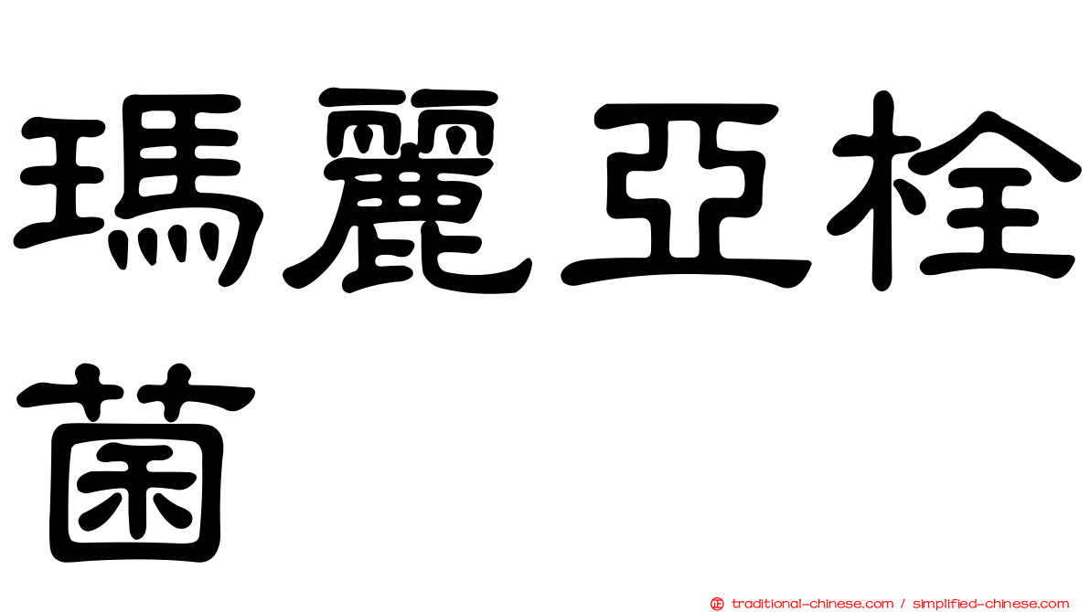 瑪麗亞栓菌