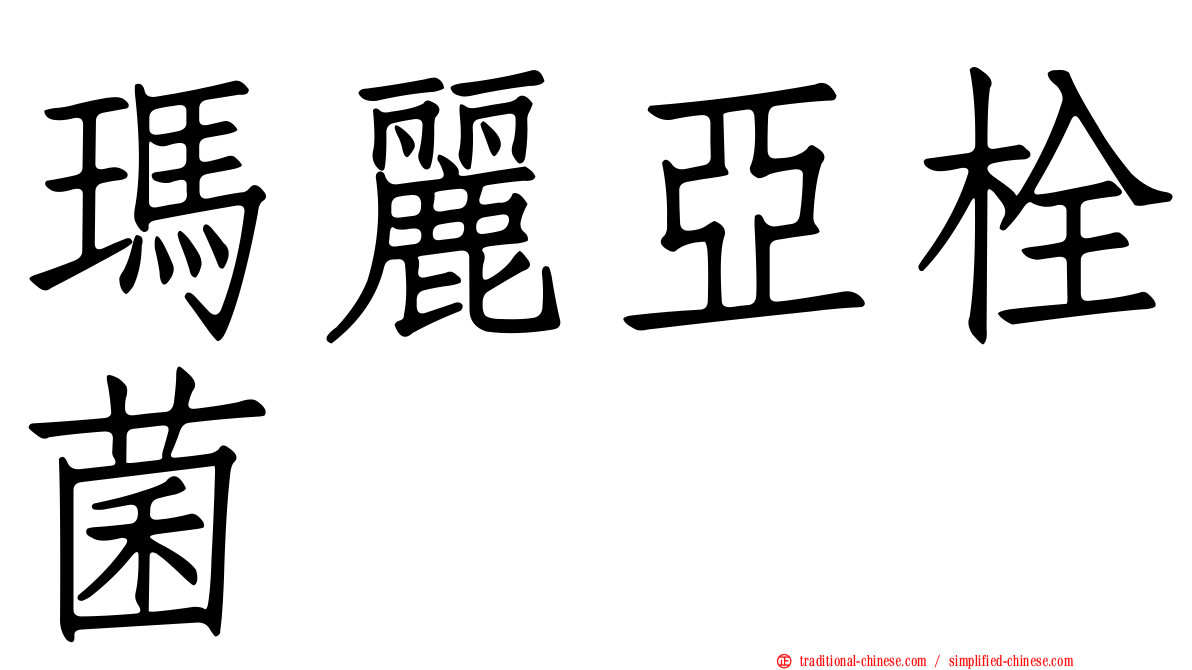 瑪麗亞栓菌