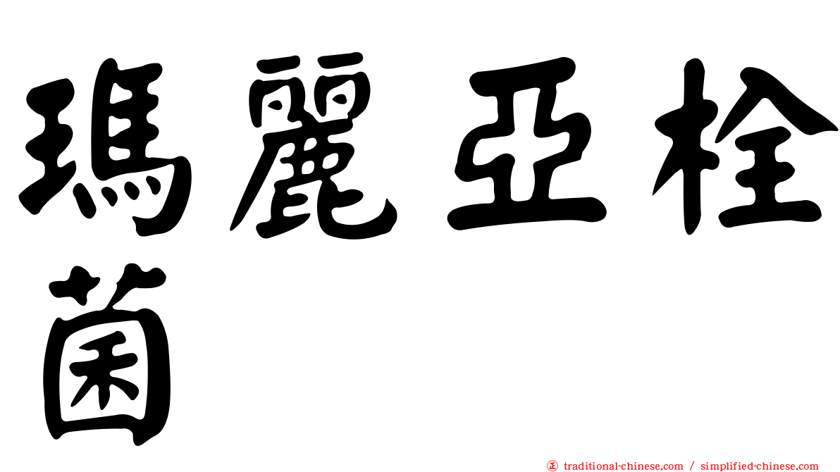瑪麗亞栓菌