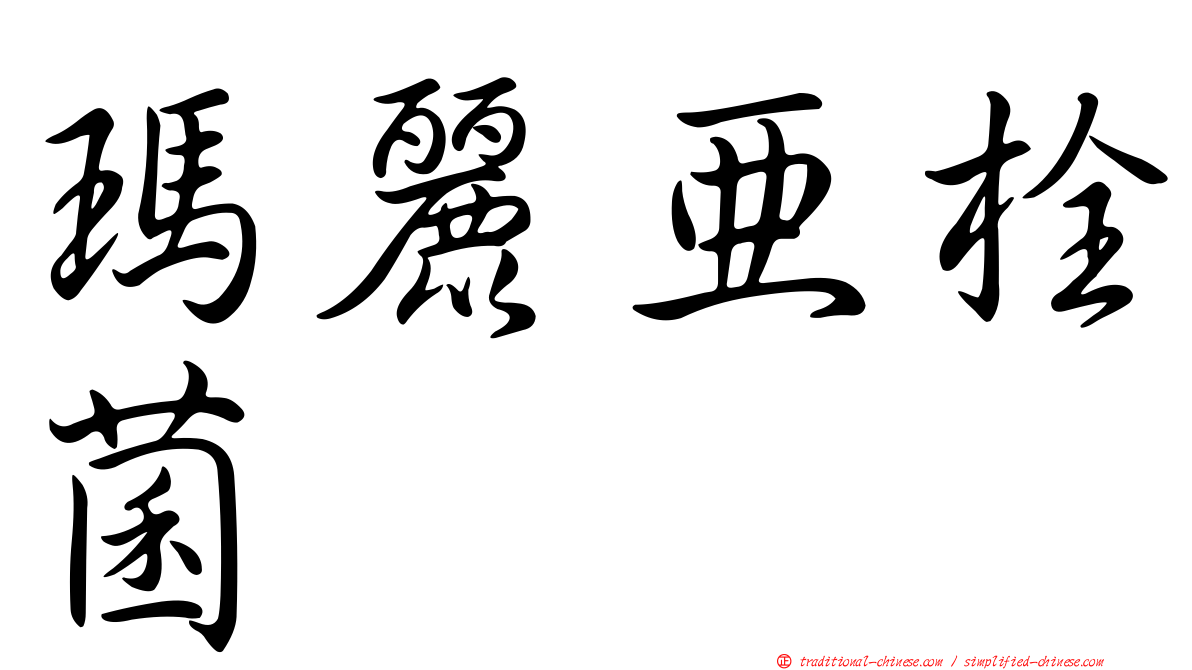 瑪麗亞栓菌