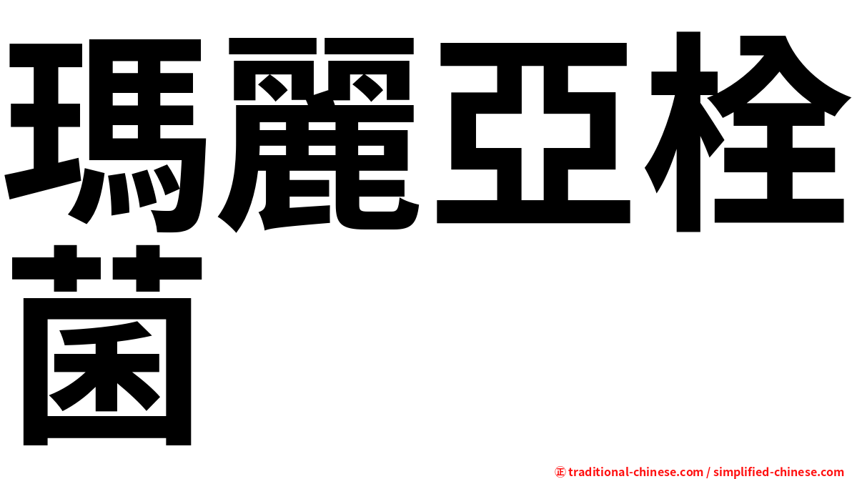 瑪麗亞栓菌