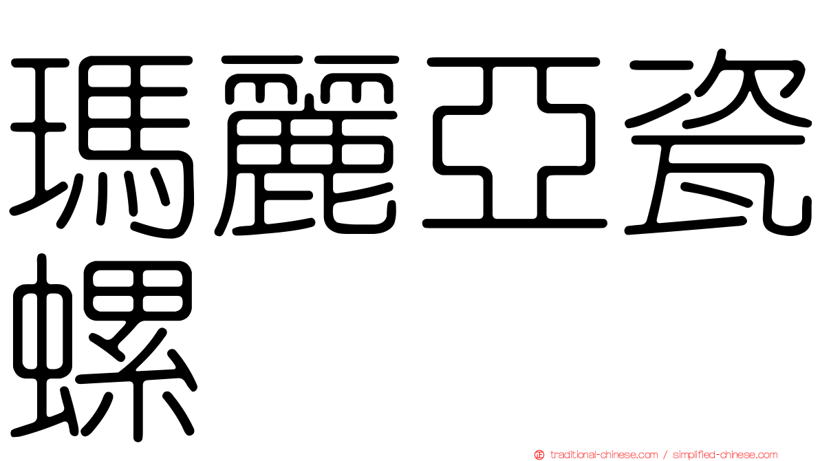 瑪麗亞瓷螺