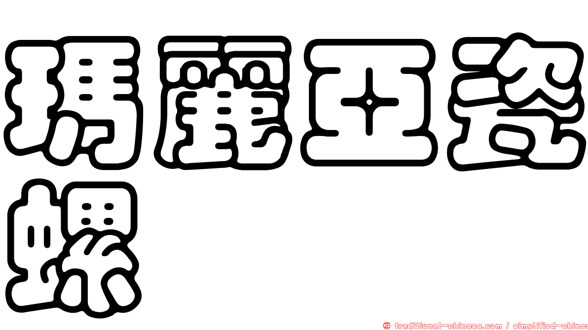 瑪麗亞瓷螺