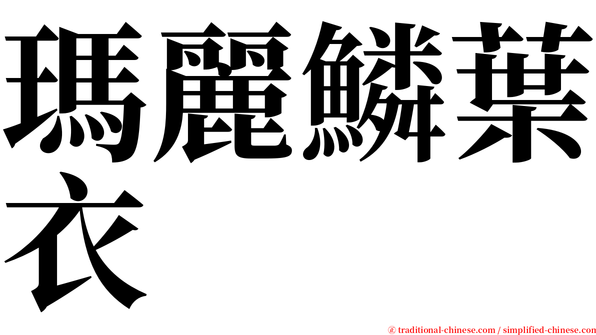 瑪麗鱗葉衣 serif font